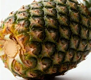 Bromelain ingredient